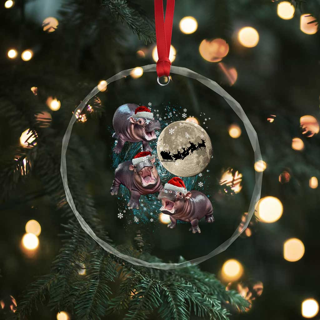 Funny Xmas Moo Deng Crystal Glass Ornament Baby Hippo Santa Sleigh Galaxy Outer Space TS09