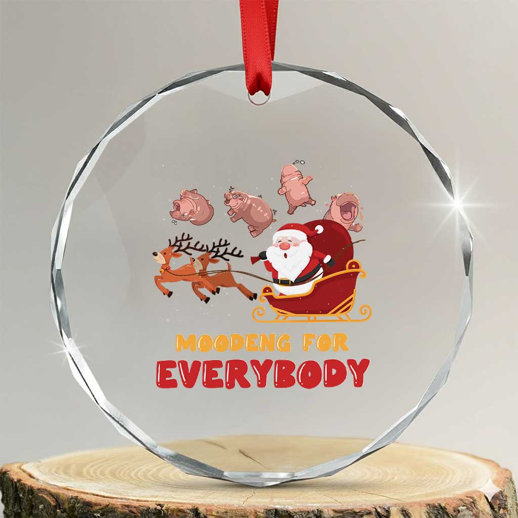 Funny Xmas Moo Deng For Everyone Crystal Glass Ornament Cute Baby Hippo Santa Reindeer TS09