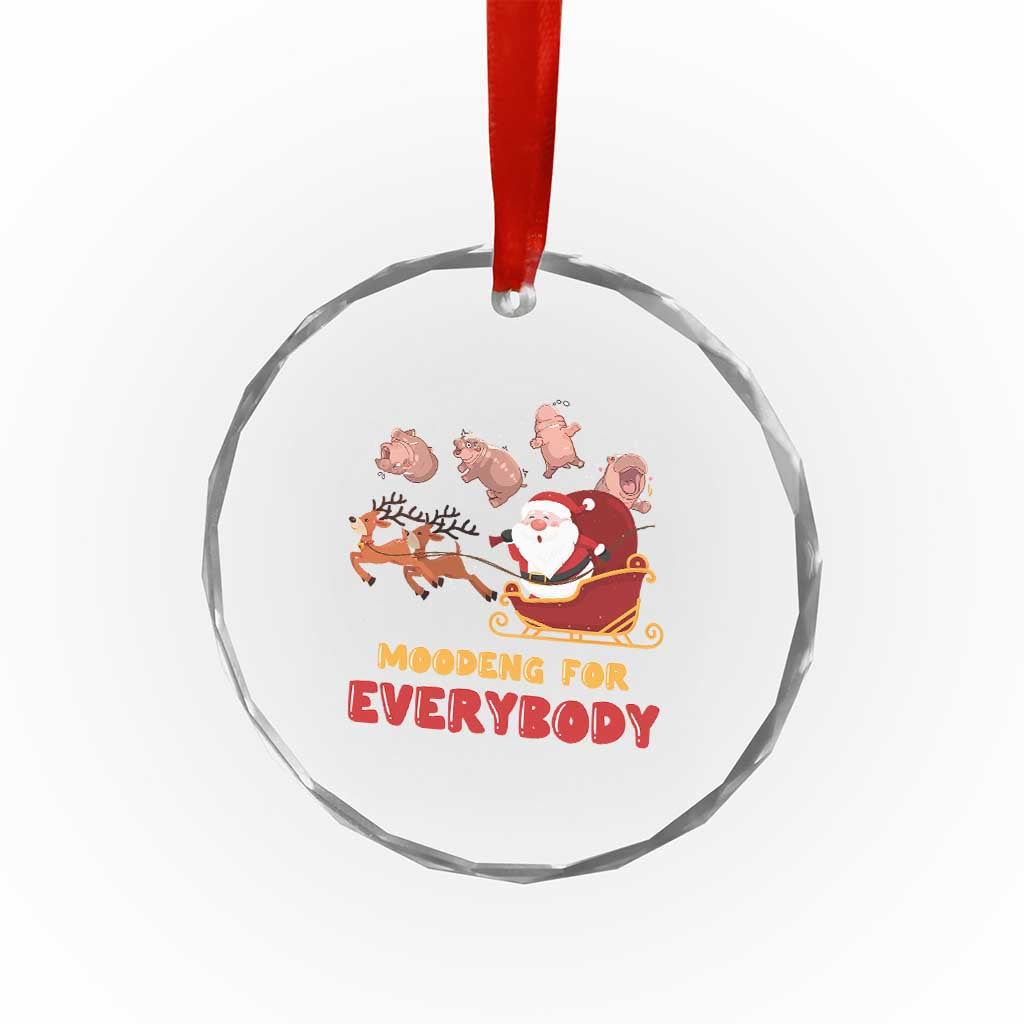 Funny Xmas Moo Deng For Everyone Crystal Glass Ornament Cute Baby Hippo Santa Reindeer TS09