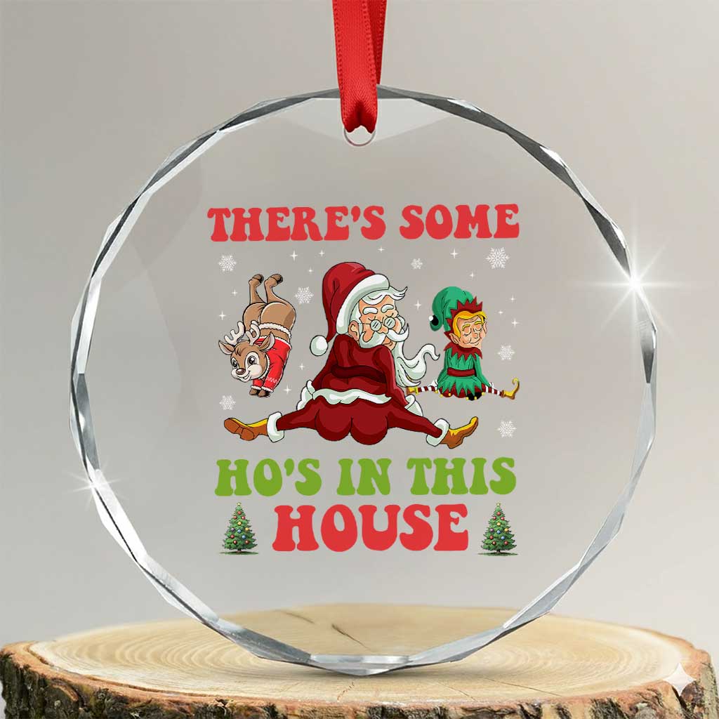 Funny Xmas Naughty Santa Crystal Glass Ornament There's Some Ho's In This House Elf Reindeers TS11
