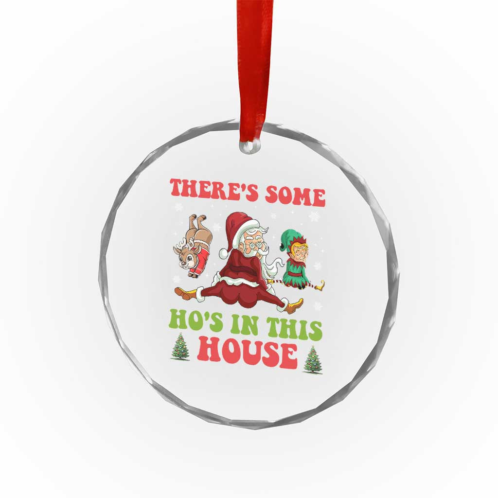 Funny Xmas Naughty Santa Crystal Glass Ornament There's Some Ho's In This House Elf Reindeers TS11