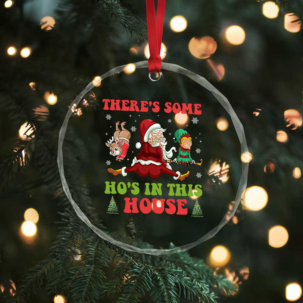Funny Xmas Naughty Santa Crystal Glass Ornament There's Some Ho's In This House Elf Reindeers TS11