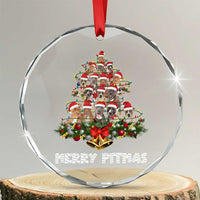 Funny Xmas Pitbull Crystal Glass Ornament Merry Pitmas Christmas Tree Dog Lover TS09