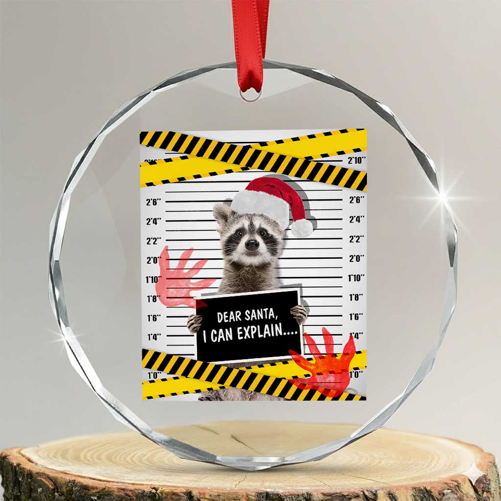 Funny Xmas Raccoon Crystal Glass Ornament Dear Santa I Can Explain TS09