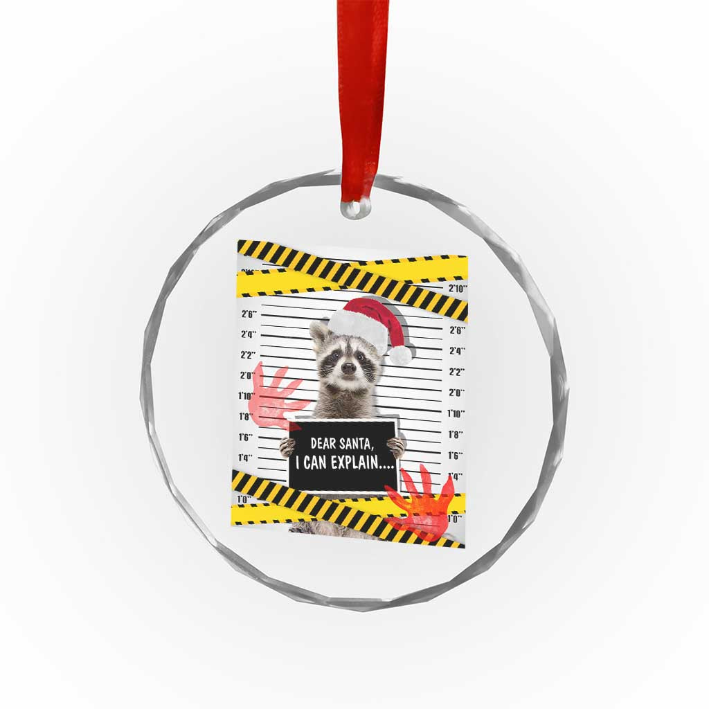 Funny Xmas Raccoon Crystal Glass Ornament Dear Santa I Can Explain TS09