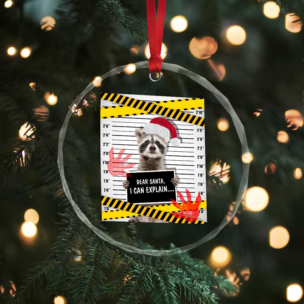Funny Xmas Raccoon Crystal Glass Ornament Dear Santa I Can Explain TS09