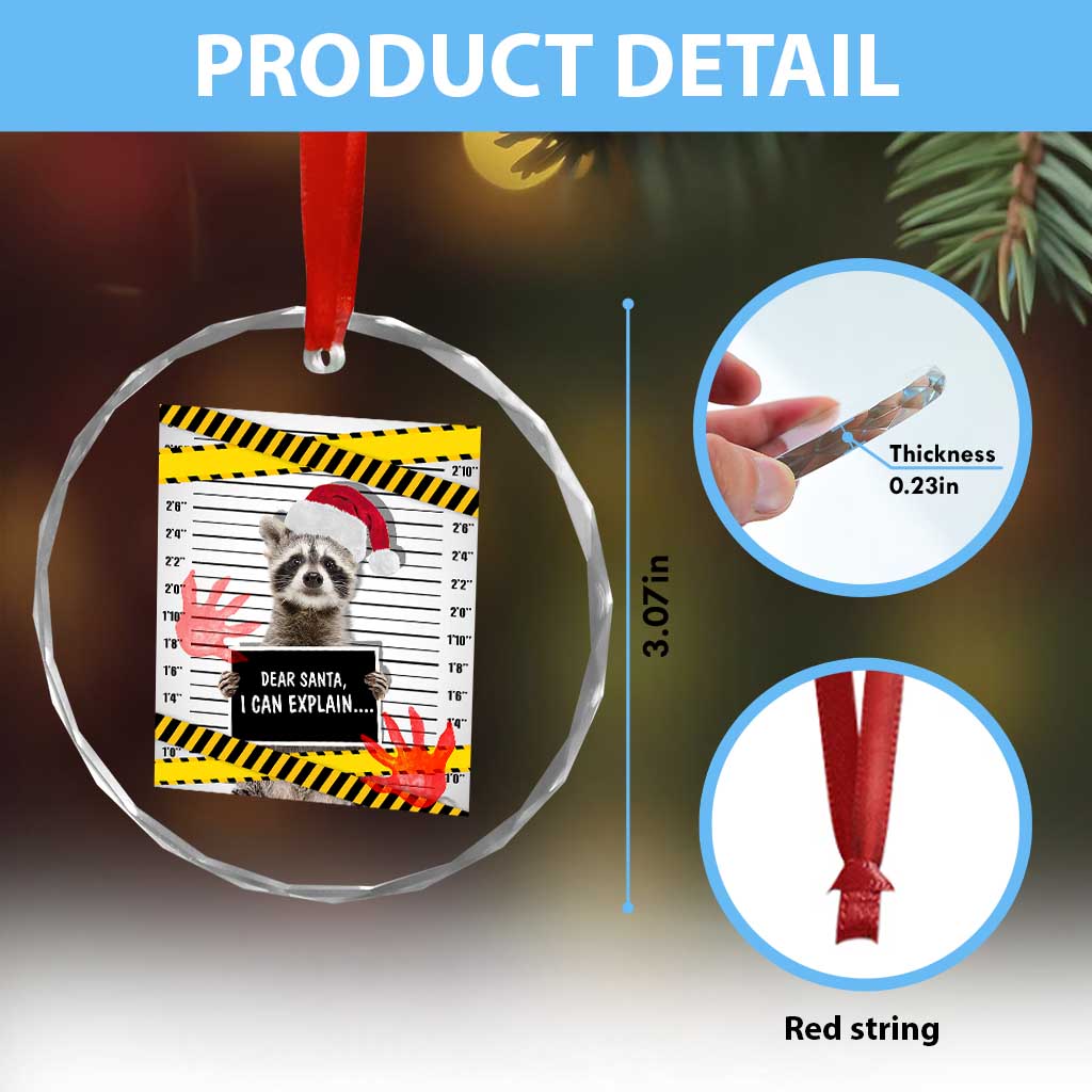 Funny Xmas Raccoon Crystal Glass Ornament Dear Santa I Can Explain TS09