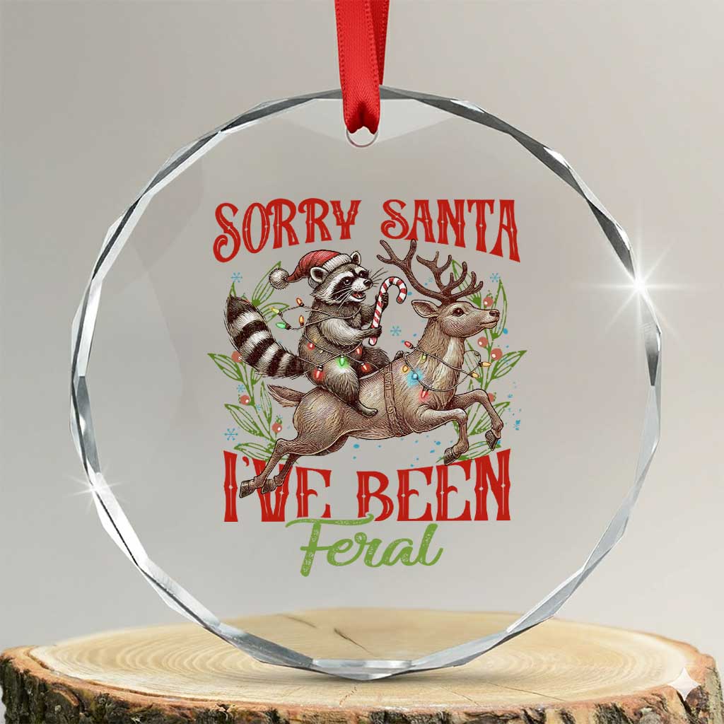 Funny Xmas Raccoon Crystal Glass Ornament Sorry Santa I've Been Feral Reindeer TS09