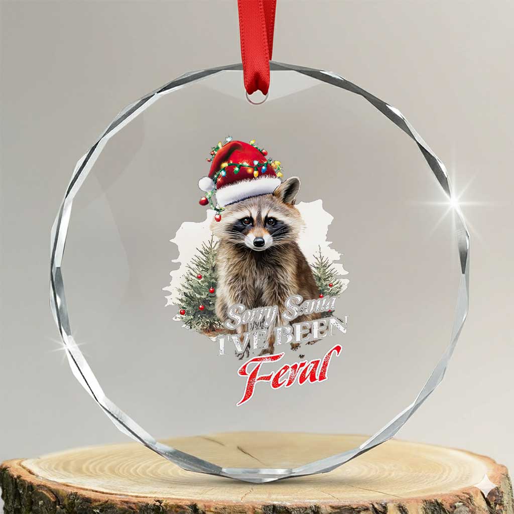 Funny Xmas Racoon Crystal Glass Ornament Sorry Santa I've Been Feral Trash Panda TS11