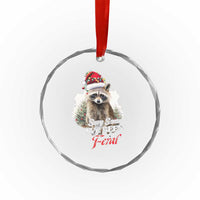Funny Xmas Racoon Crystal Glass Ornament Sorry Santa I've Been Feral Trash Panda TS11