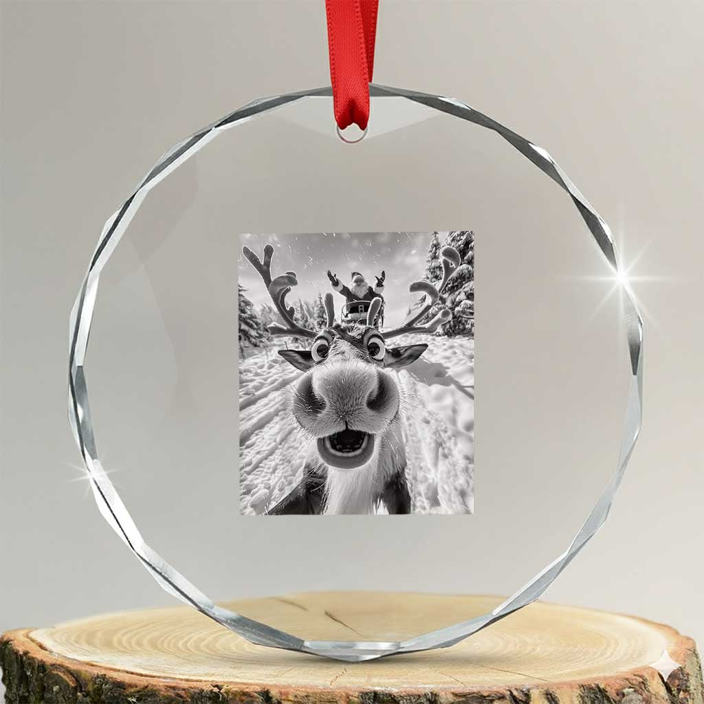 Funny Xmas Reindeer Selfie Crystal Glass Ornament With Santa Xmas Gag Gift TS02