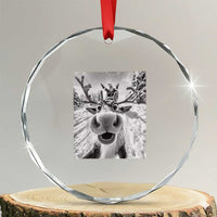 Funny Xmas Reindeer Selfie Crystal Glass Ornament With Santa Xmas Gag Gift TS02