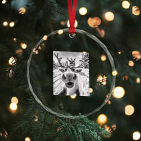 Funny Xmas Reindeer Selfie Crystal Glass Ornament With Santa Xmas Gag Gift TS02