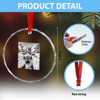 Funny Xmas Reindeer Selfie Crystal Glass Ornament With Santa Xmas Gag Gift TS02