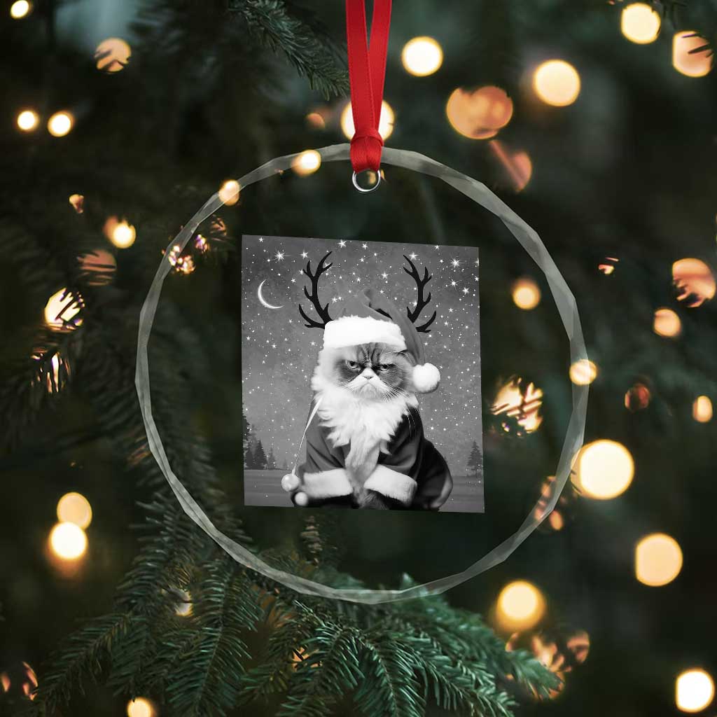 Funny Xmas Santa Grumpy Cat Crystal Glass Ornament TS11