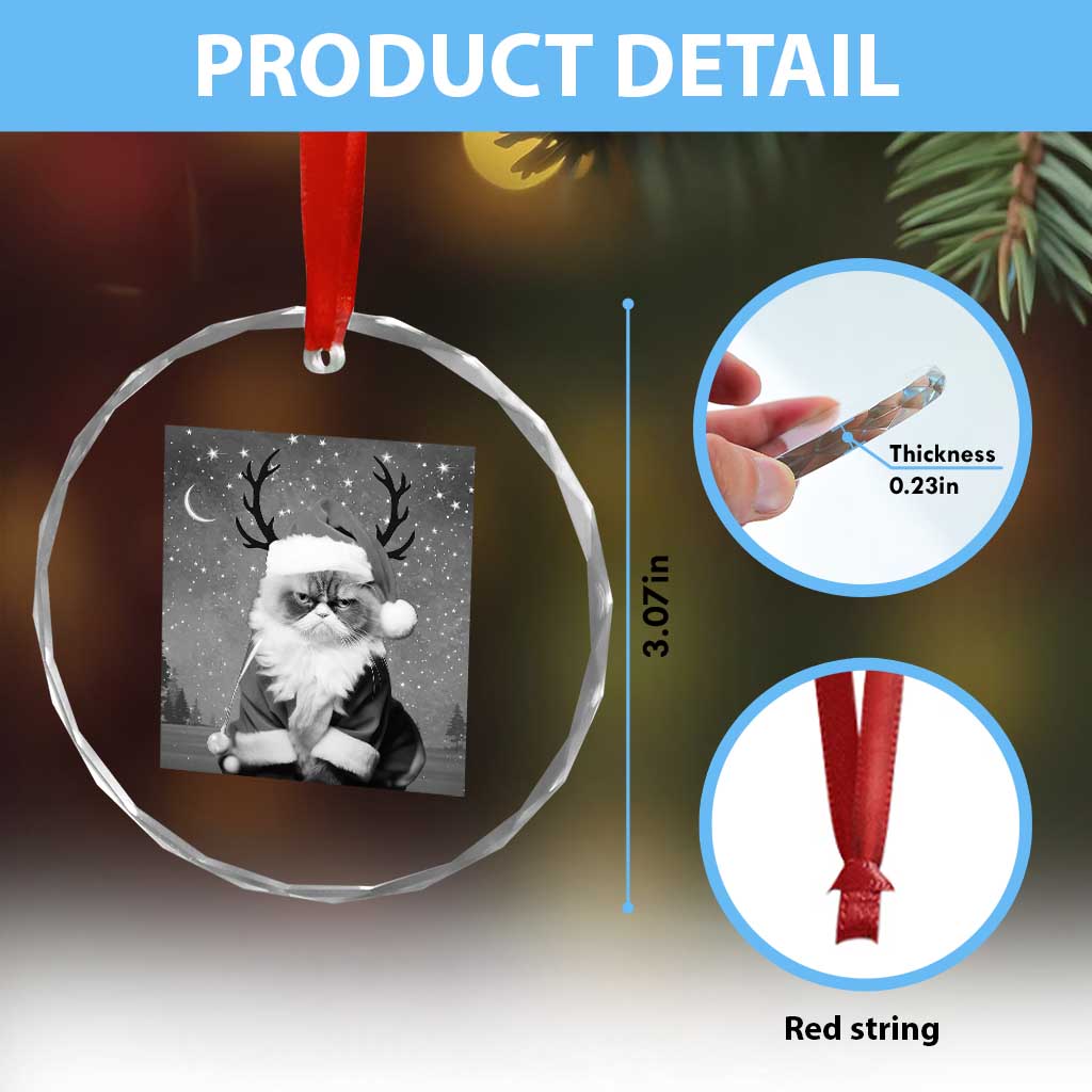 Funny Xmas Santa Grumpy Cat Crystal Glass Ornament TS11