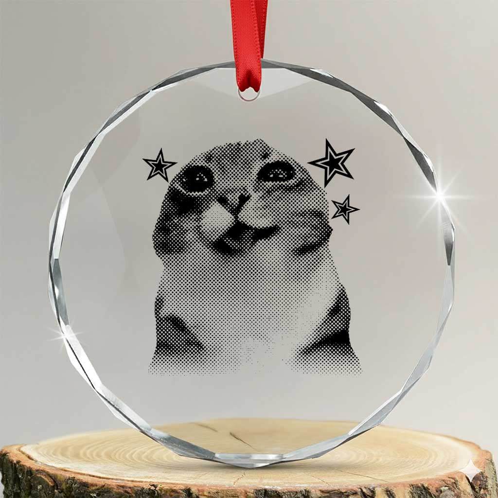 Funny Y2k Cat Meme Crystal Glass Ornament Vintage Retro Silly Cats Cats lover Gift - Wonder Print Shop
