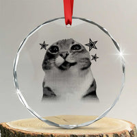 Funny Y2k Cat Meme Crystal Glass Ornament Vintage Retro Silly Cats Cats lover Gift - Wonder Print Shop