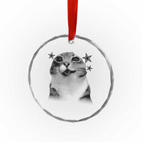 Funny Y2k Cat Meme Crystal Glass Ornament Vintage Retro Silly Cats Cats lover Gift - Wonder Print Shop