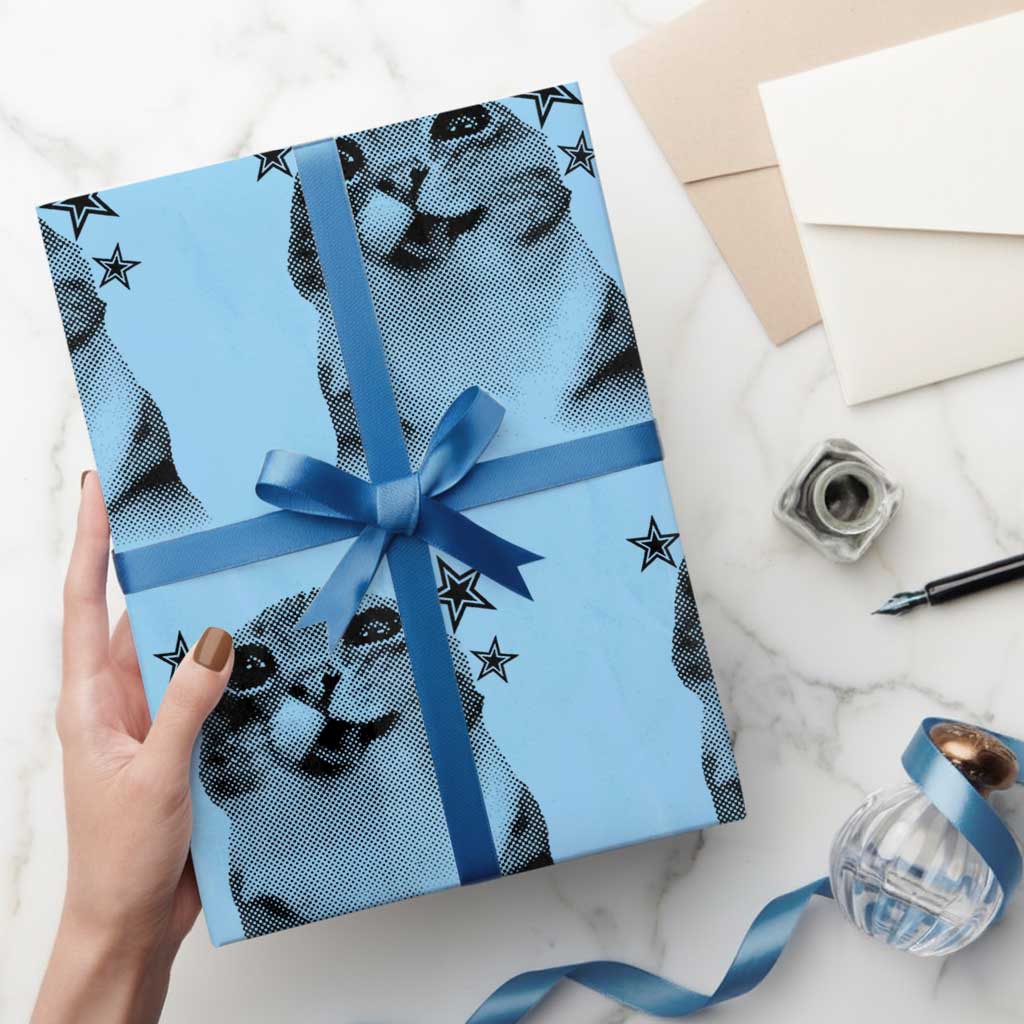 Funny Y2k Cat Meme Wrapping Paper Roll Vintage Retro Silly Cats Cats lover Gift - Wonder Print Shop
