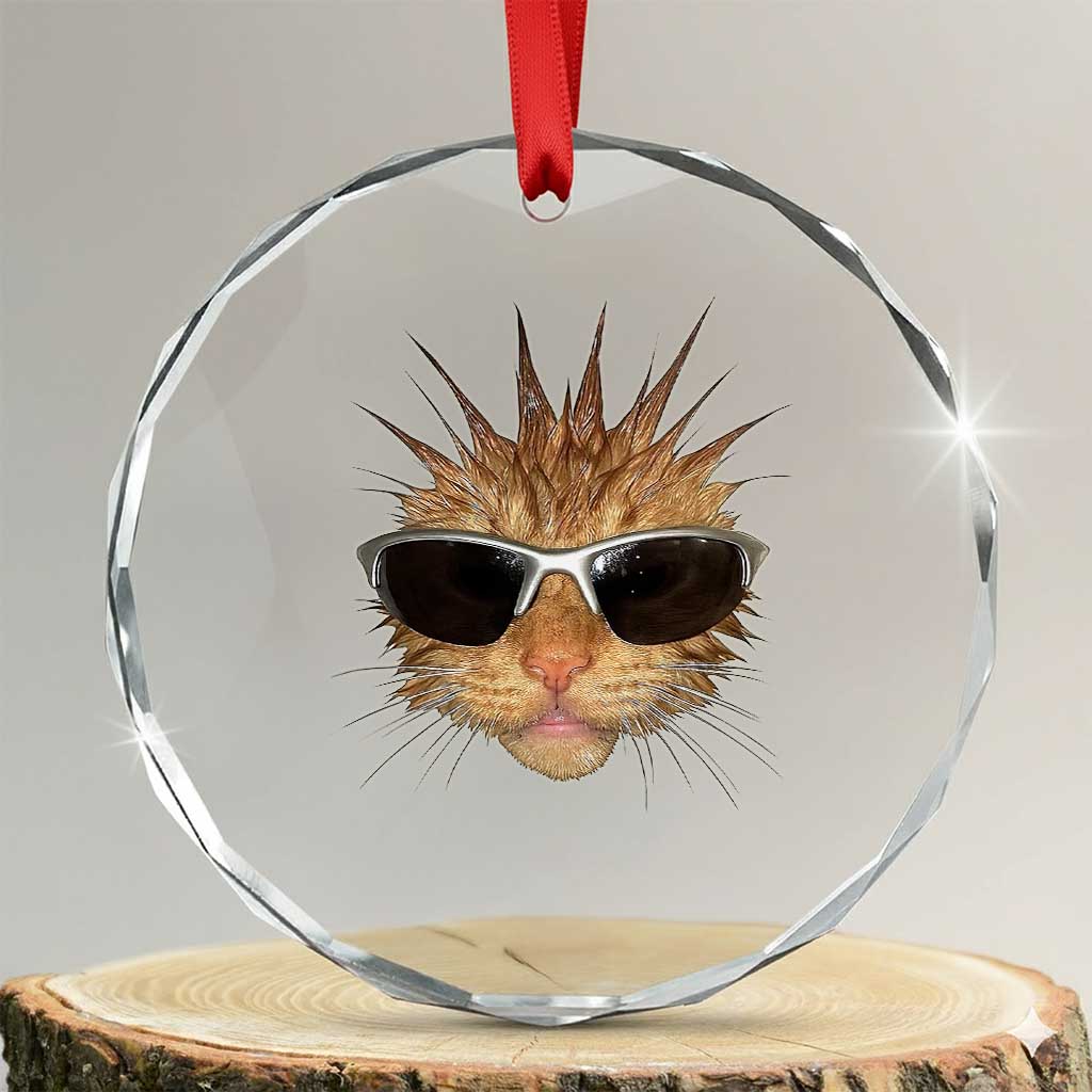 Funny Y2k Retro Cat Meme Crystal Glass Ornament Vintage Cat Edgy Retro 90s Streetwear - Wonder Print Shop