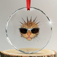 Funny Y2k Retro Cat Meme Crystal Glass Ornament Vintage Cat Edgy Retro 90s Streetwear - Wonder Print Shop