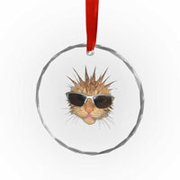 Funny Y2k Retro Cat Meme Crystal Glass Ornament Vintage Cat Edgy Retro 90s Streetwear - Wonder Print Shop