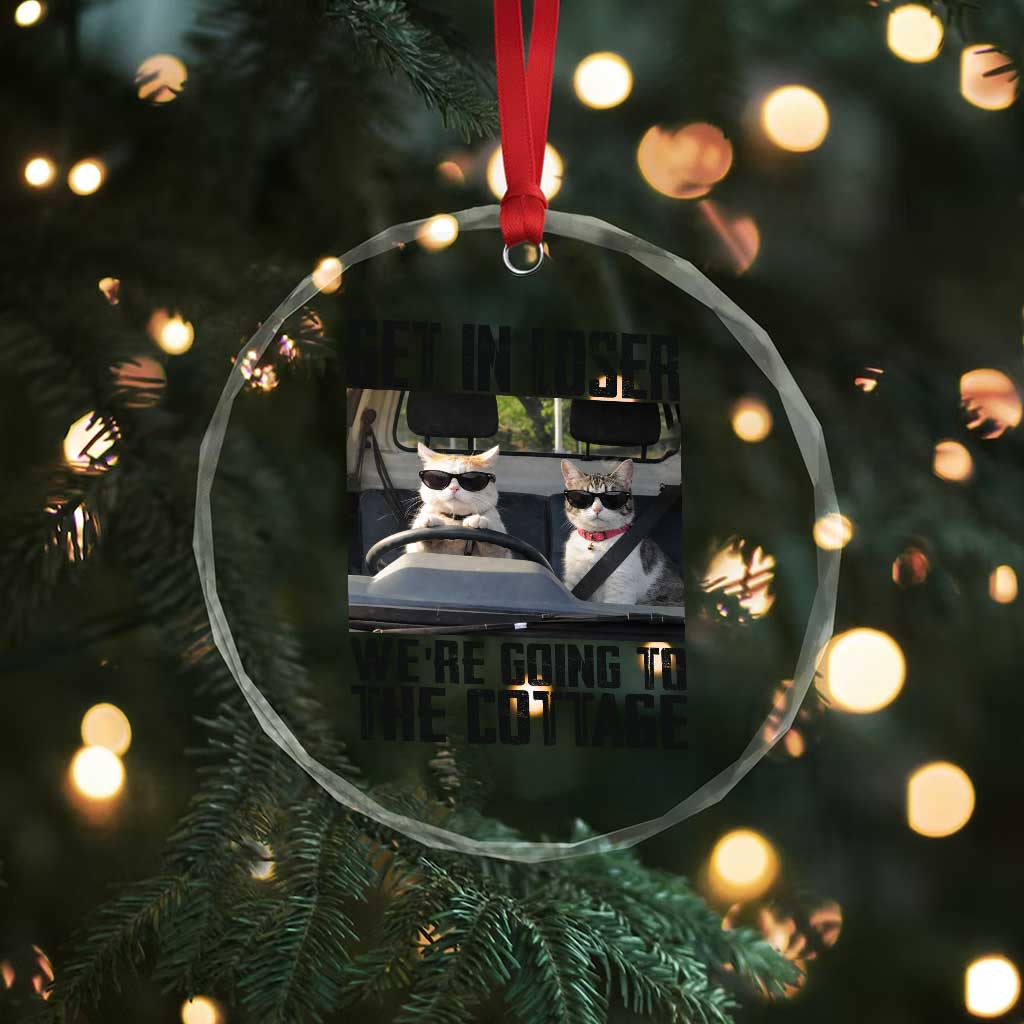 Get In Loser Were Going To The Cottage Crystal Glass Ornament Funny Cat Gifts Internet Memes