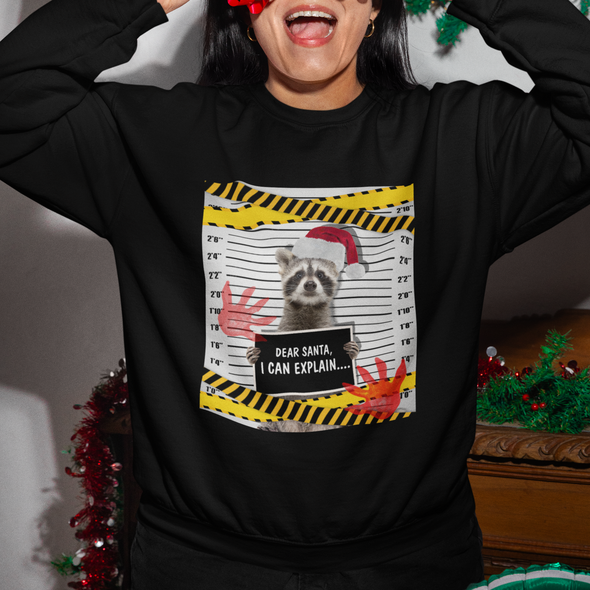 Christmas Sweatshirt Dear Santa I Can Explain Funny Raccoon Lover - Wonder Print Shop