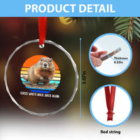 Groundhog Day Crystal Glass Ornament Retro Vintage Funny Woodchuck Guess Whos Back - Wonder Print Shop