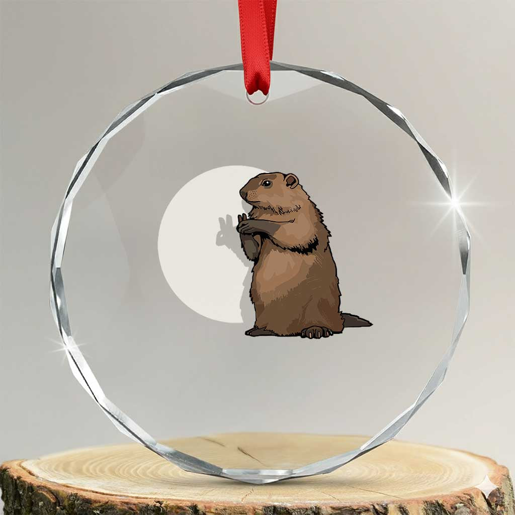 Groundhog Shadow Meteorlogy Crystal Glass Ornament Woodchuck Puppet Funny Gift TS02