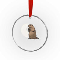 Groundhog Shadow Meteorlogy Crystal Glass Ornament Woodchuck Puppet Funny Gift TS02