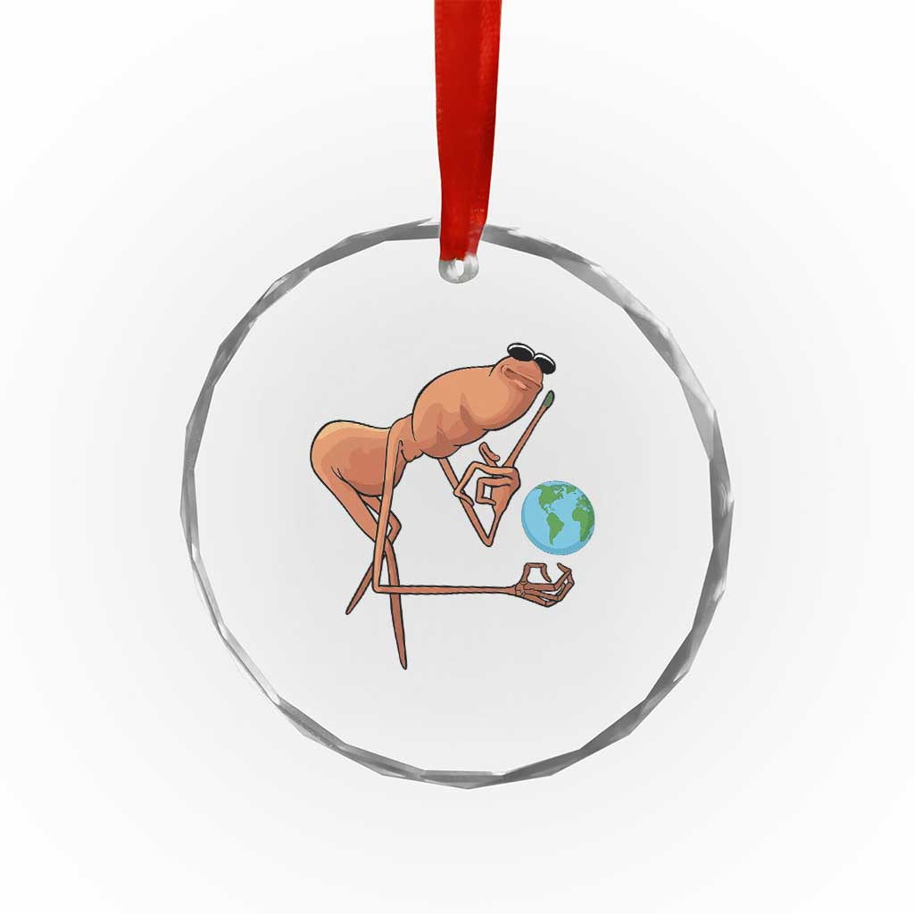Happy Earth Day Crystal Glass Ornament Funny Marcus The Worm Eco Friendly