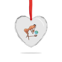 Happy Earth Day Heart Crystal Glass Ornament Funny Marcus The Worm Eco Friendly