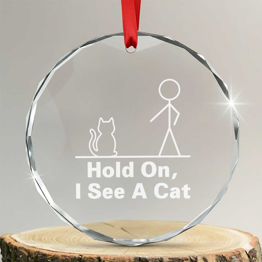 Hold On I See A Cat Crystal Glass Ornament Funny Cat Person Stick Figure Graphic - Wonder Print Shop