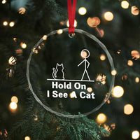 Hold On I See A Cat Crystal Glass Ornament Funny Cat Person Stick Figure Graphic - Wonder Print Shop