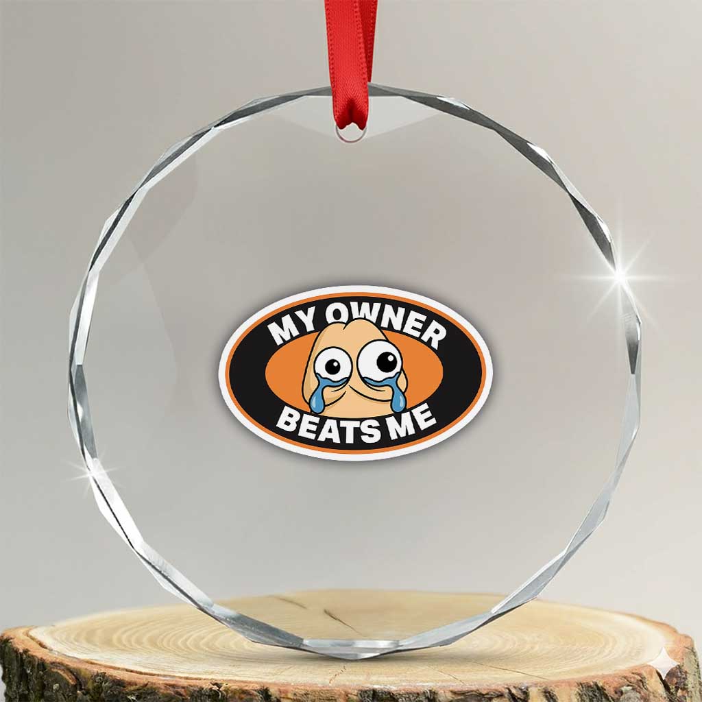 Humorous Dark Humor Crystal Glass Ornament My Owner Beats Me