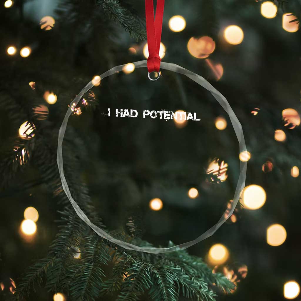 I Had Potential Crystal Glass Ornament Physics Sci Fi Joke