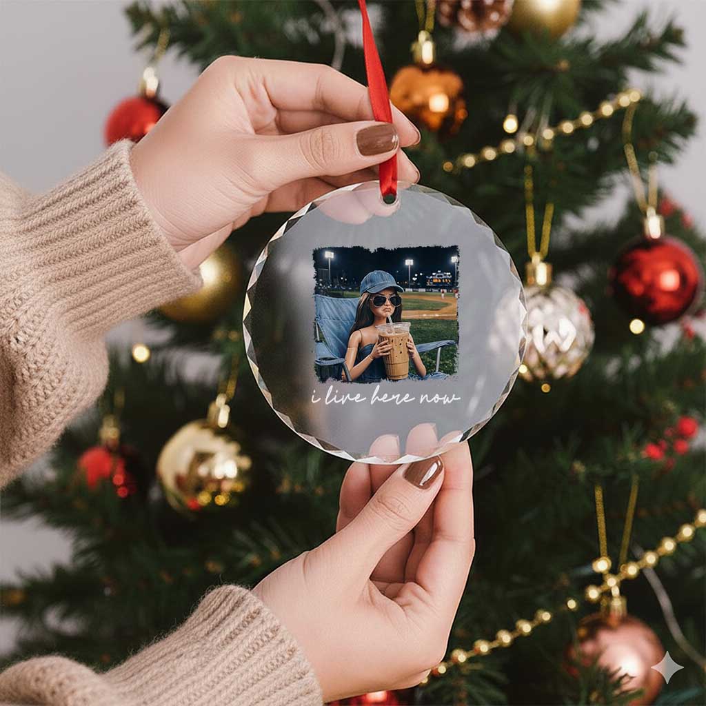 I Live Here Now Funny Doll Face Meme Baseball Lover Crystal Glass Ornament Game Day Reaction Sports Fan Gift