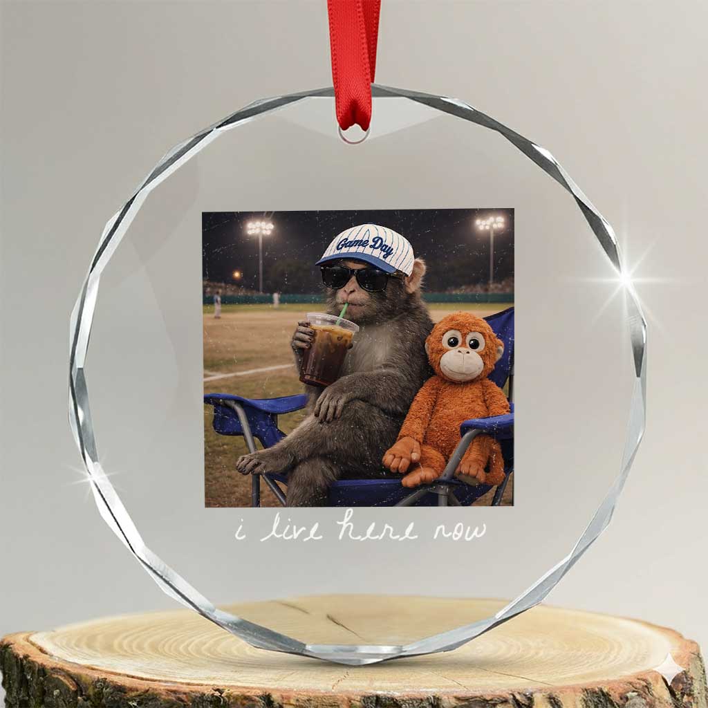 I Live Here Now Punch Monkey Crystal Glass Ornament Funny Drinking Iced Coffee Baseball Field