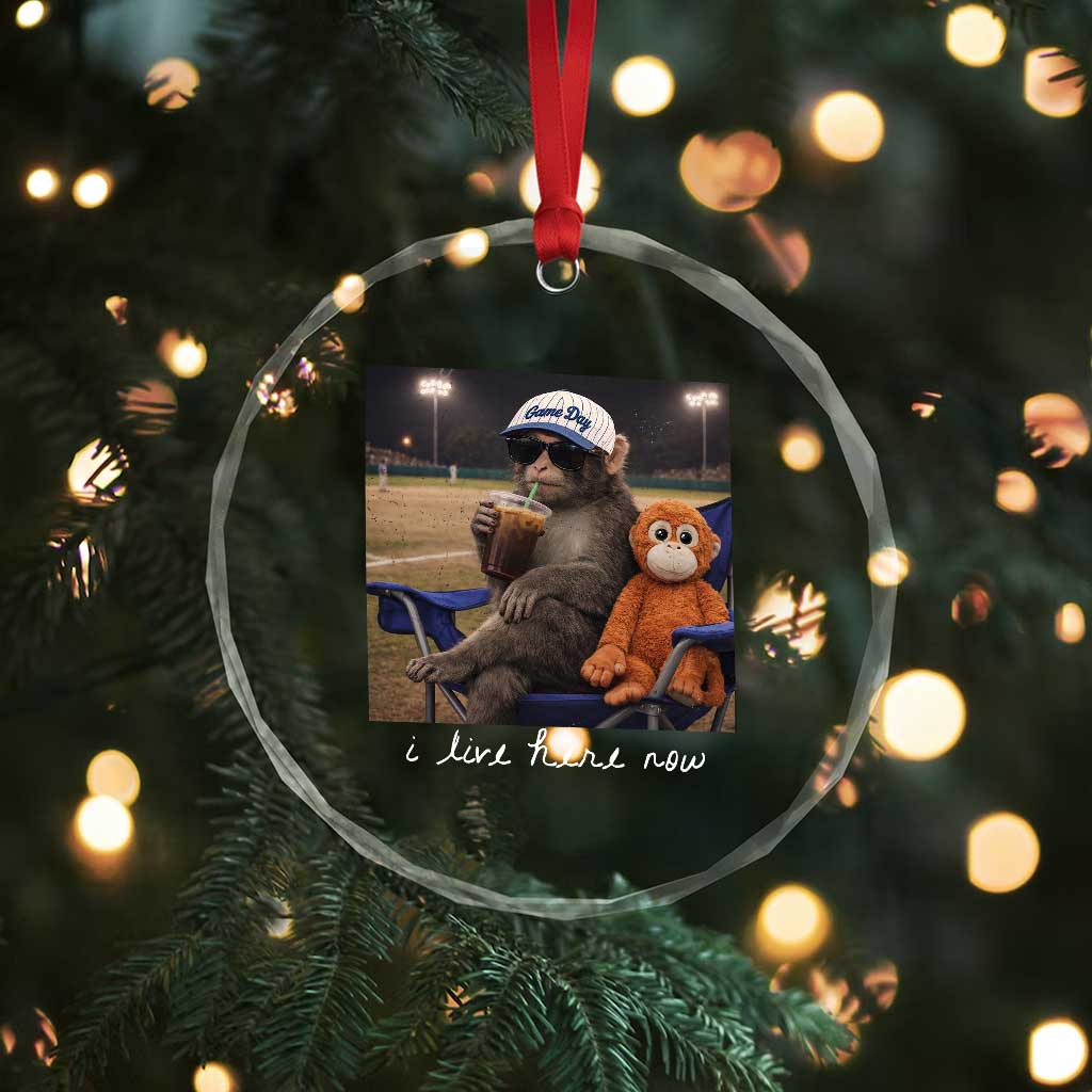 I Live Here Now Punch Monkey Crystal Glass Ornament Funny Drinking Iced Coffee Baseball Field