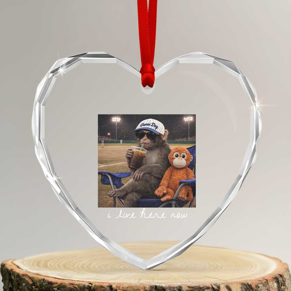 I Live Here Now Punch Monkey Heart Crystal Glass Ornament Funny Drinking Iced Coffee Baseball Field