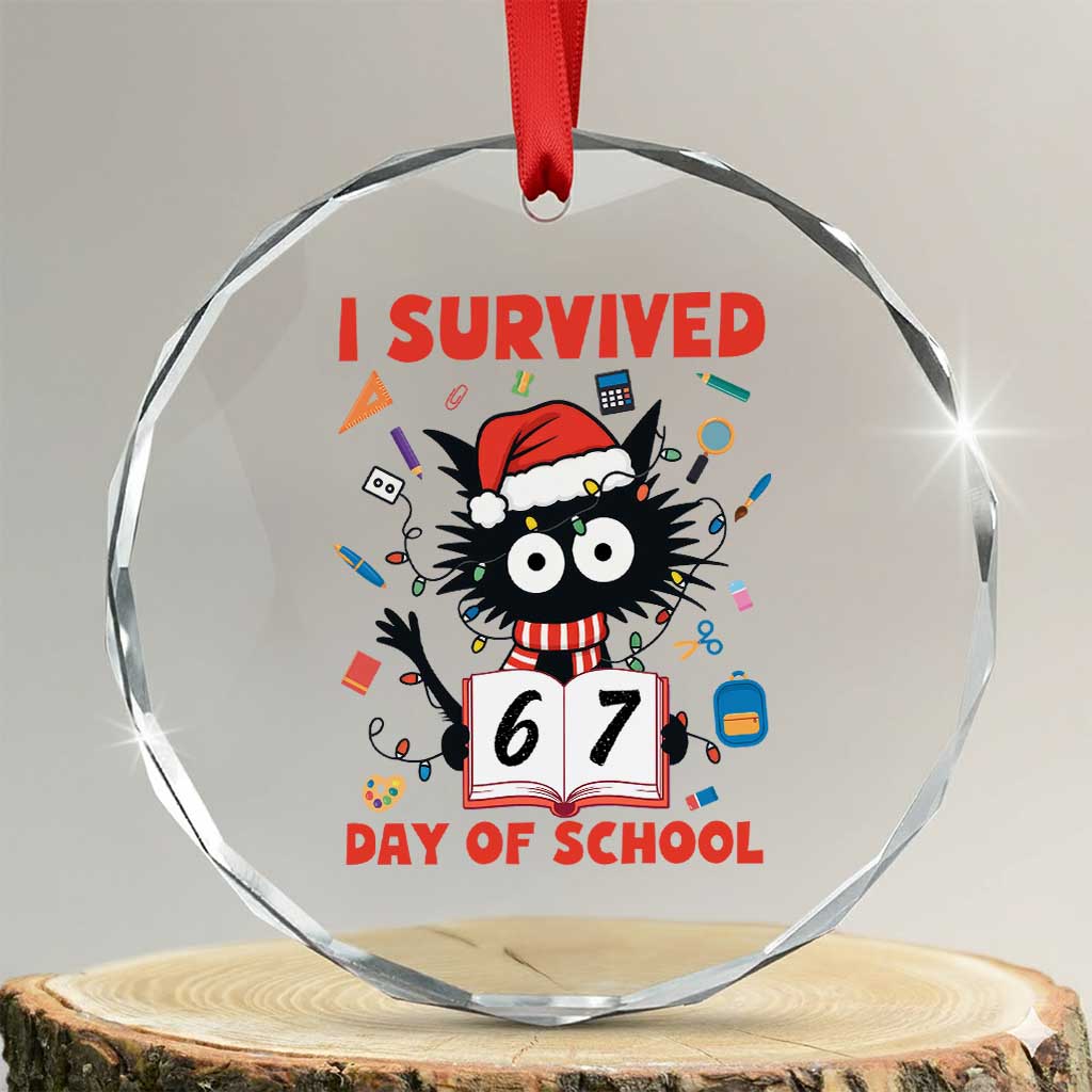 I Survived 67 Days Of School Cat Meme Crystal Glass Ornament Funny Christmas Six Seven Meme - Wonder Print Shop