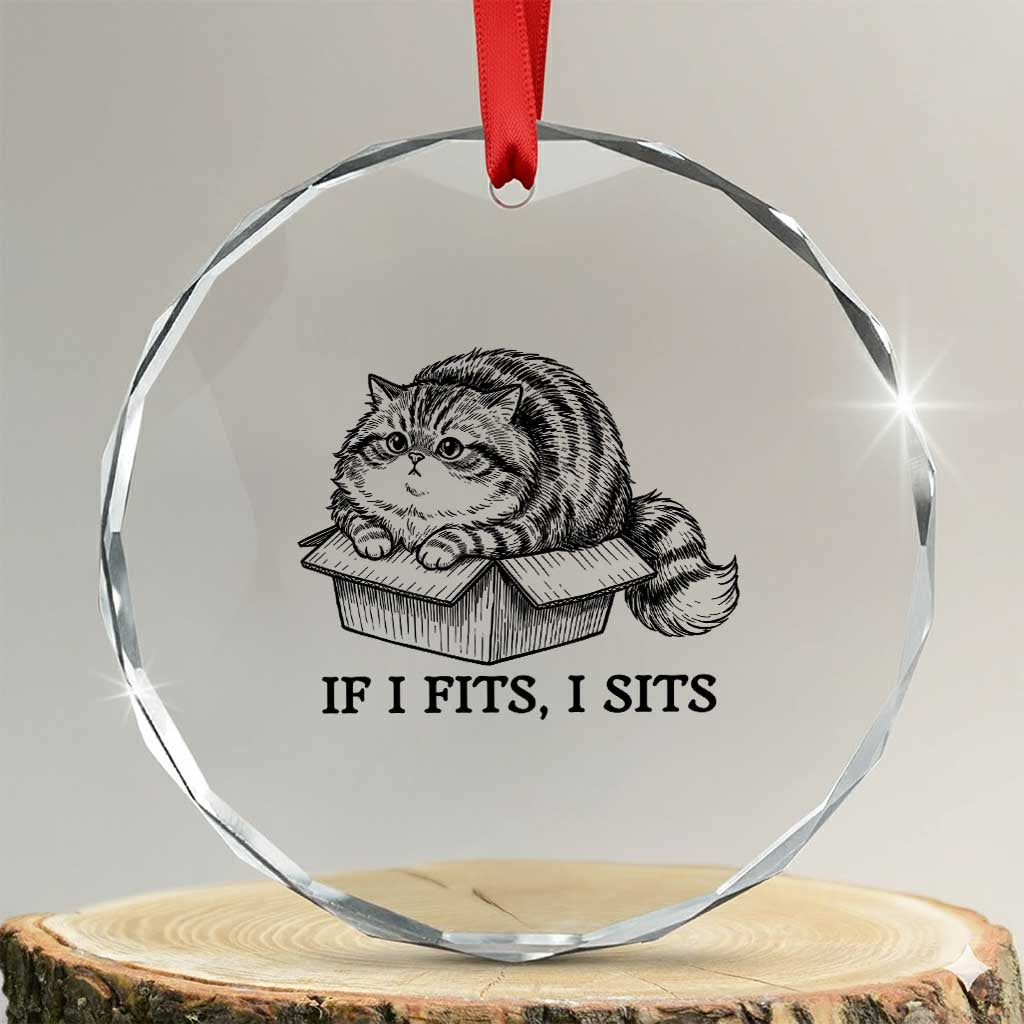 If I Fits I Sits Crystal Glass Ornament Chubby Kitty Funny Cat Lover Gift