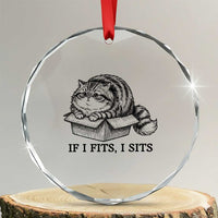 If I Fits I Sits Crystal Glass Ornament Chubby Kitty Funny Cat Lover Gift