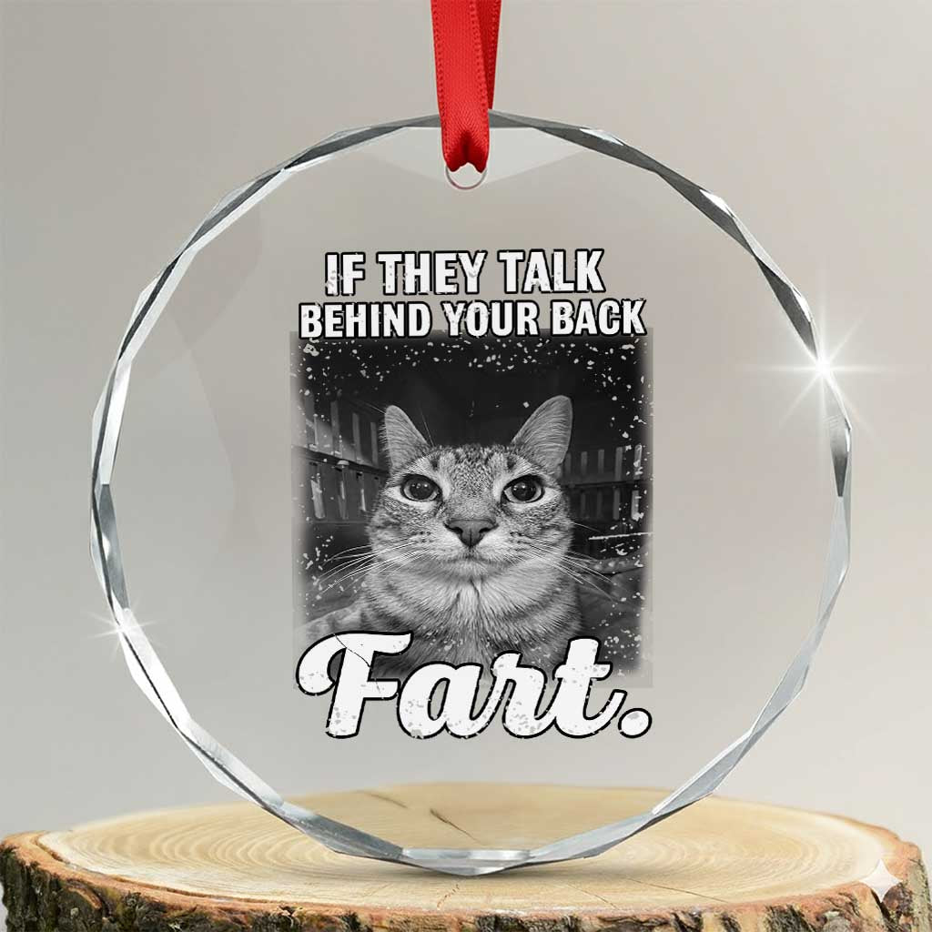 If They Talk Behind Your Back Fart Crystal Glass Ornament Cat Meme Funny Oddly Specific