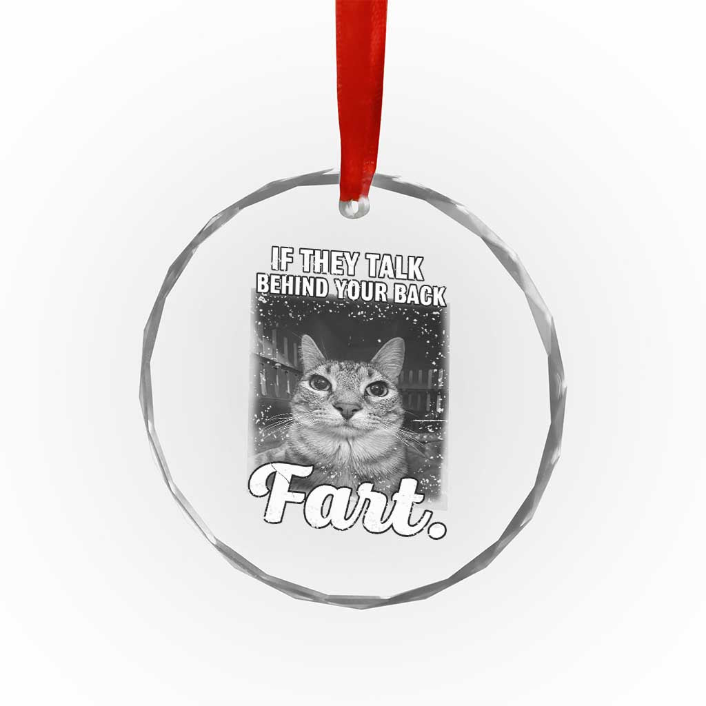 If They Talk Behind Your Back Fart Crystal Glass Ornament Cat Meme Funny Oddly Specific