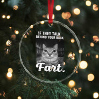 If They Talk Behind Your Back Fart Crystal Glass Ornament Cat Meme Funny Oddly Specific
