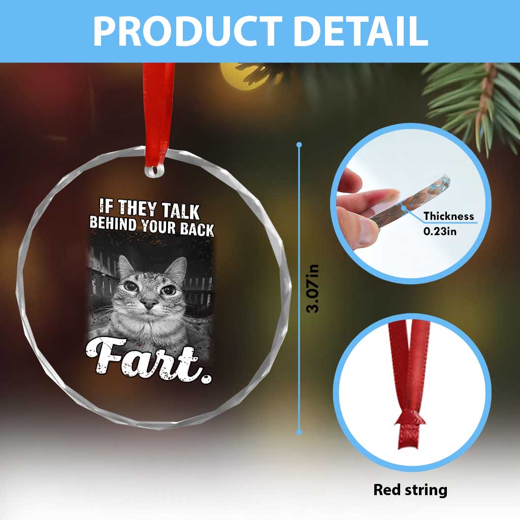 If They Talk Behind Your Back Fart Crystal Glass Ornament Cat Meme Funny Oddly Specific