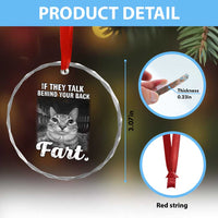 If They Talk Behind Your Back Fart Crystal Glass Ornament Cat Meme Funny Oddly Specific